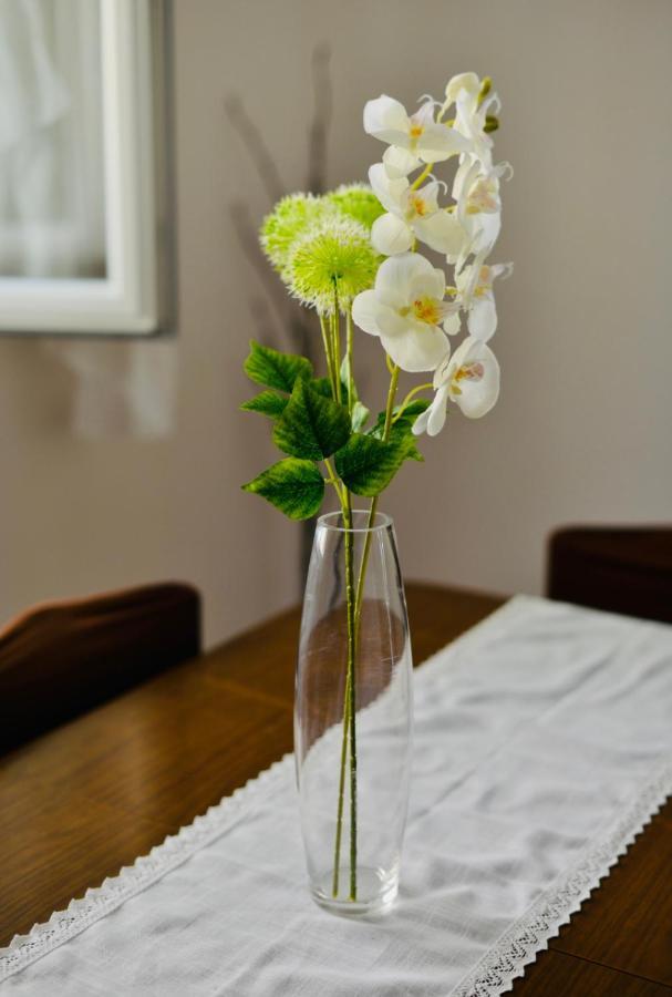 Apartment Niksa Novigrad  Bagian luar foto