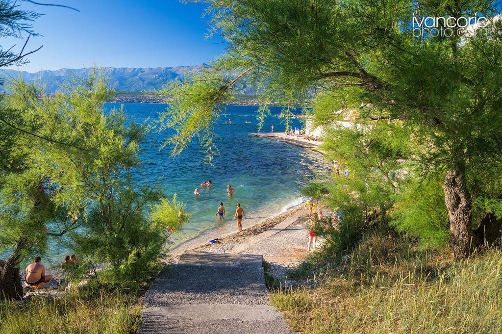 Apartment Niksa Novigrad  Bagian luar foto